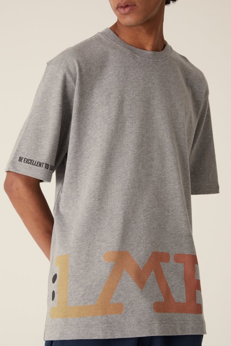 T Shirt La Martina LMRTN Basic γκρι | VHD-3589